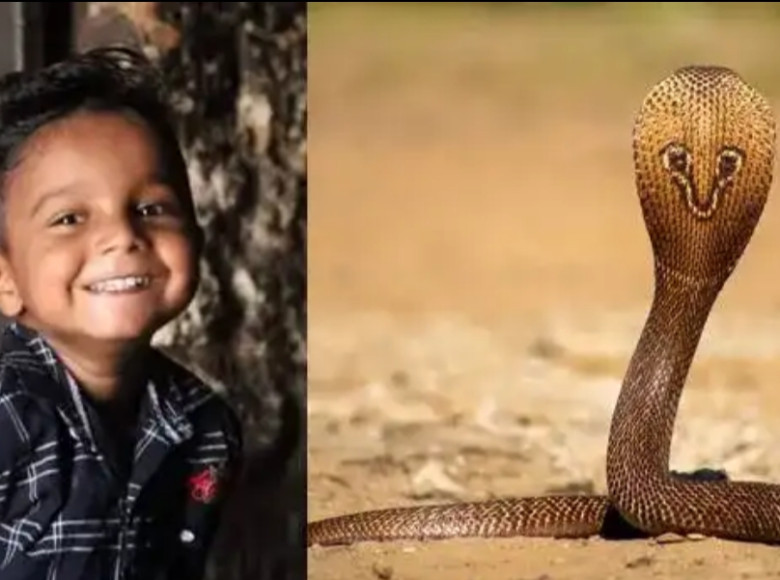 ഉറങ്ങിക്കിടക്കുന്നതിനിടെ പാമ്പ് കടിച്ചു ; തിരുവനന്തപുരത്ത് എട്ടുവയസുകാരന് ദാരുണാന്ത്യം