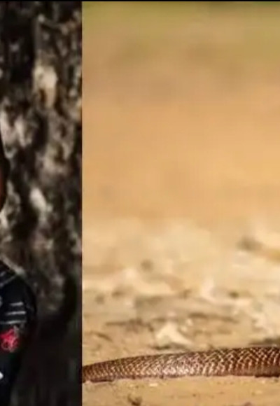 ഉറങ്ങിക്കിടക്കുന്നതിനിടെ പാമ്പ് കടിച്ചു ; തിരുവനന്തപുരത്ത് എട്ടുവയസുകാരന് ദാരുണാന്ത്യം